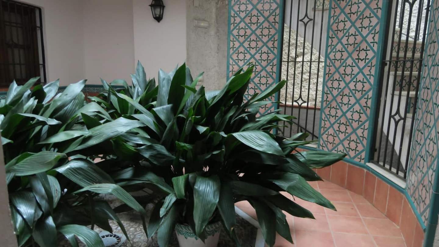 Ferienwohnung Charming Albaicin Patio Flat Free Onsite Parking Granada Exterior foto