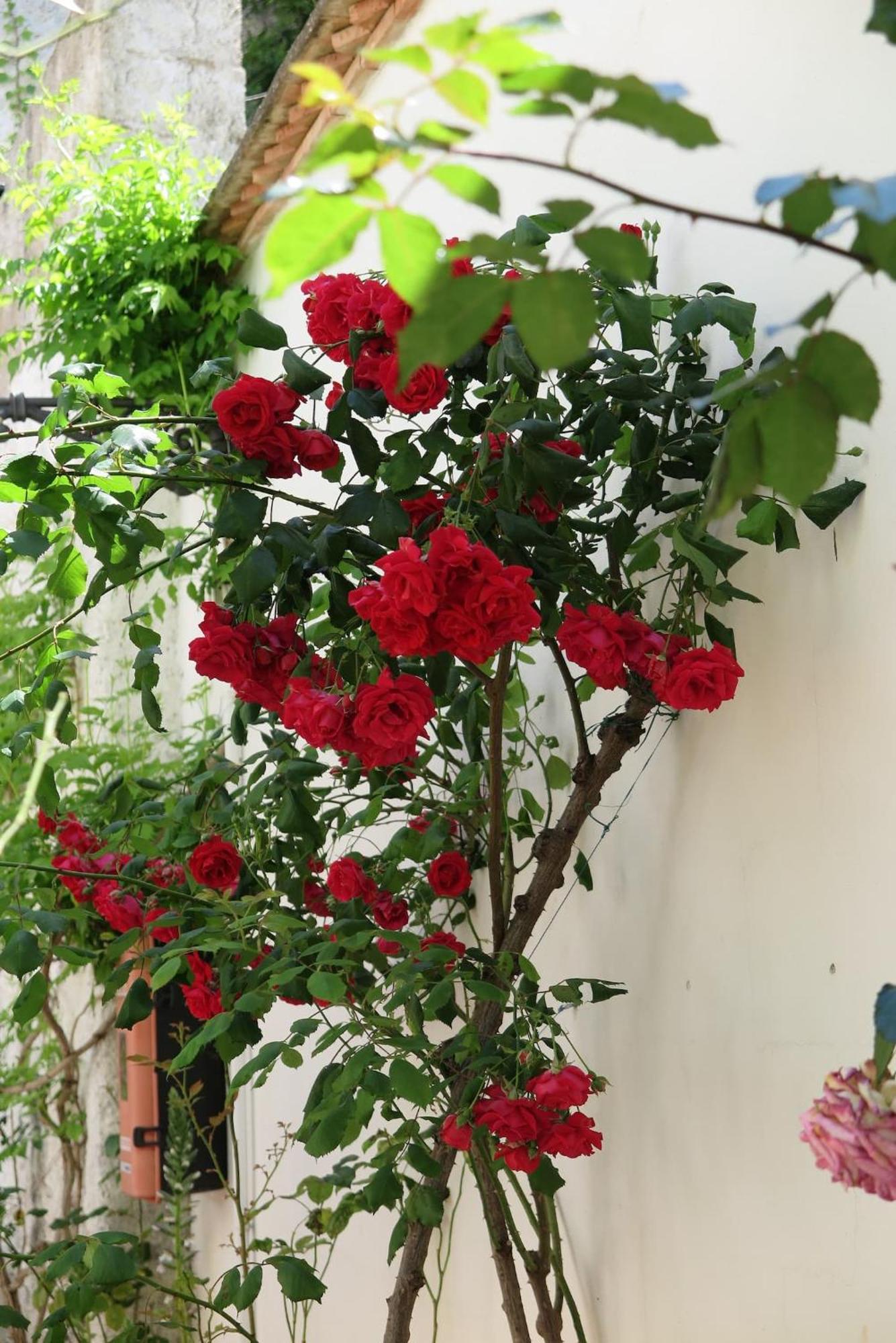 Ferienwohnung Charming Albaicin Patio Flat Free Onsite Parking Granada Exterior foto