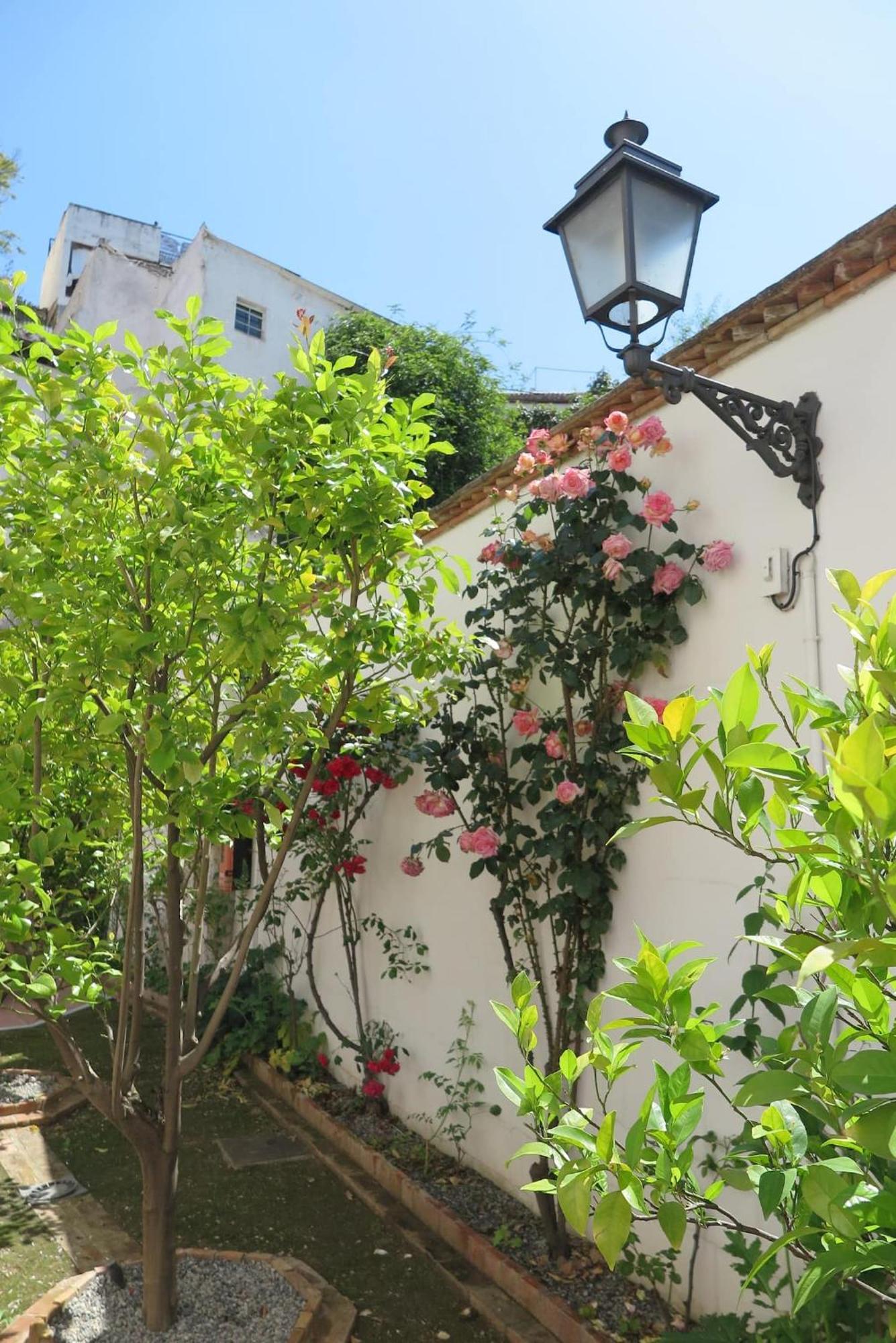Ferienwohnung Charming Albaicin Patio Flat Free Onsite Parking Granada Exterior foto